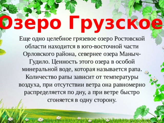 Озеро Грузское Еще одно целебное грязевое озеро Ростовской области находится в юго-восточной части Орловского района, севернее озера Маныч-Гудило. Ценность этого озера в особой минеральной воде, которая называется рапа. Количество рапы зависит от температуры воздуха, при отсутствии ветра она равномерно распределяется по дну, а при ветре быстро сгоняется в одну сторону. 