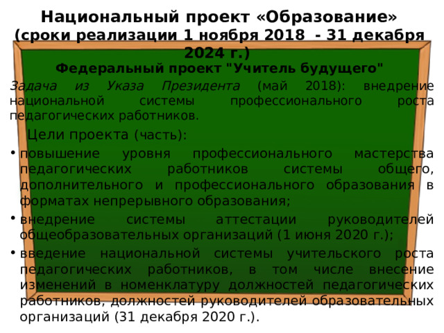  Национальный проект «Образование»  (сроки реализации 1 ноября 2018 - 31 декабря 2024 г.)   Федеральный проект 