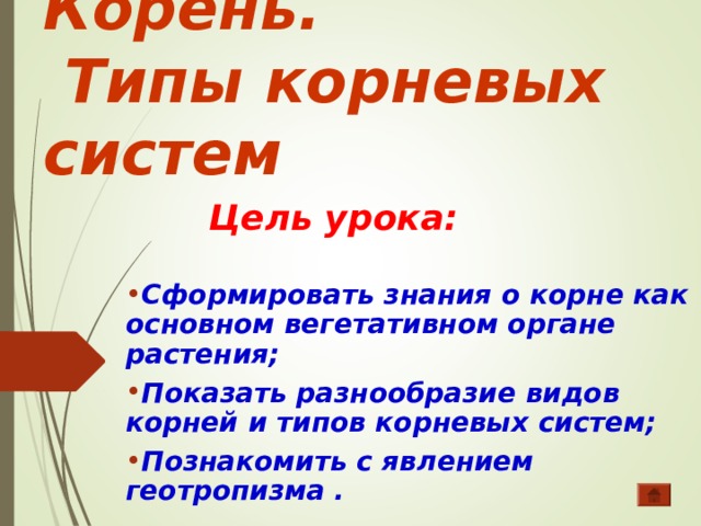 Чтобы найти корень нужно. Для чего нужны корни дереву. Нужная корень. Для чего нужен корень растению. Корень нужен растению для.