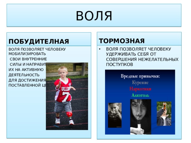 ВОЛЯ  ТОРМОЗНАЯ  ПОБУДИТЕЛНАЯ ВОЛЯ ПОЗВОЛЯЕТ ЧЕЛОВЕКУ УДЕРЖИВАТЬ СЕБЯ ОТ СОВЕРШЕНИЯ НЕЖЕЛАТЕЛЬНЫХ ПОСТУПКОВ ВОЛЯ ПОЗВОЛЯЕТ ЧЕЛОВЕКУ МОБИЛИЗИРОВАТЬ  СВОИ ВНУТРЕННИЕ  СИЛЫ И НАПРАВИТЬ ИХ НА АКТИВНУЮ ДЕЯТЕЛЬНОСТЬ ДЛЯ ДОСТИЖЕНИЯ ПОСТАВЛЕННОЙ ЦЕЛИ 