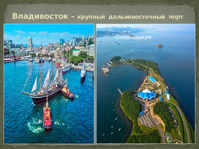 Владивосток – крупный дальневосточный порт Океанариум 