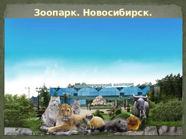 Зоопарк. Новосибирск. 