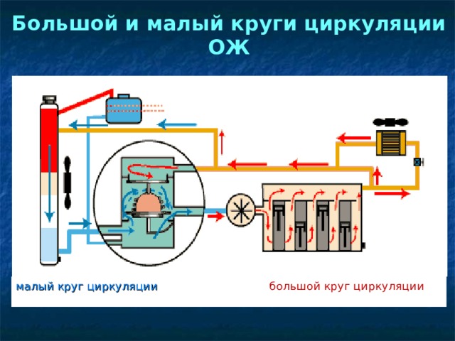 По какому кругу циркулирует жидкость на этом рисунке