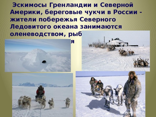  Эскимосы Гренландии и Северной Америки, береговые чукчи в России - жители побережья Северного Ледовитого океана занимаются оленеводством, рыболовством, охотой на морского зверя 