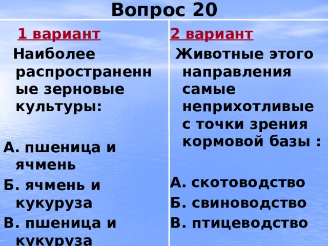 Вопрос 20  1 вариант 2 вариант  Наиболее распространенные зерновые культуры:  Животные этого направления самые неприхотливые с точки зрения кормовой базы :   А.  пшеница и ячмень А.  скотоводство Б. ячмень и кукуруза Б. свиноводство В. пшеница и кукуруза В. птицеводство 