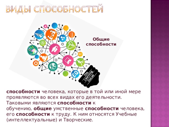 Общие способности способности  человека, которые в той или иной мере проявляются во всех видах его деятельности. Таковыми являются  способности  к обучению,  общие  умственные  способности  человека, его  способности  к труду. К ним относятся Учебные (интеллектуальные) и Творческие. 