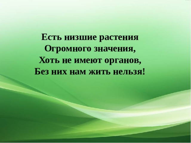 Какие правила существуют в обществе примеры Презентация "Водоросли, их разнообразие и значение в природе"
