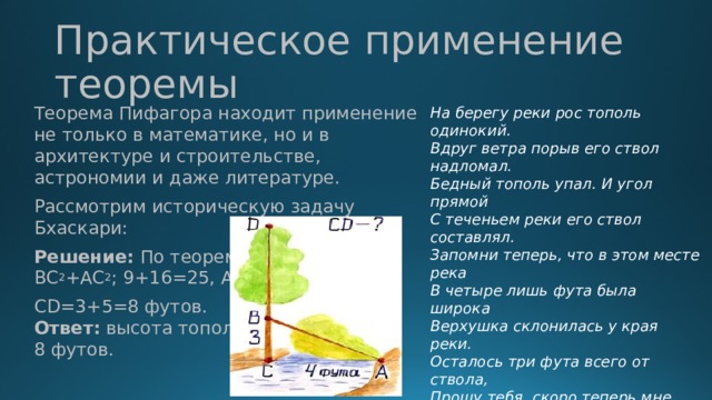 Практическое применение теоремы Теорема Пифагора находит применение не только в математике, но и в архитектуре и строительстве, астрономии и даже литературе. Рассмотрим историческую задачу Бхаскари: Решение: По теореме Пифагора АВ 2 = ВС 2 +АС 2 ; 9+16=25, АВ=5 футов; СD=3+5=8 футов. Ответ: высота тополя 8 футов. На берегу реки рос тополь одинокий.   Вдруг ветра порыв его ствол надломал.   Бедный тополь упал. И угол прямой   С теченьем реки его ствол составлял.   Запомни теперь, что в этом месте река   В четыре лишь фута была широка   Верхушка склонилась у края реки.   Осталось три фута всего от ствола,   Прошу тебя, скоро теперь мне скажи:   У тополя как велика высота?