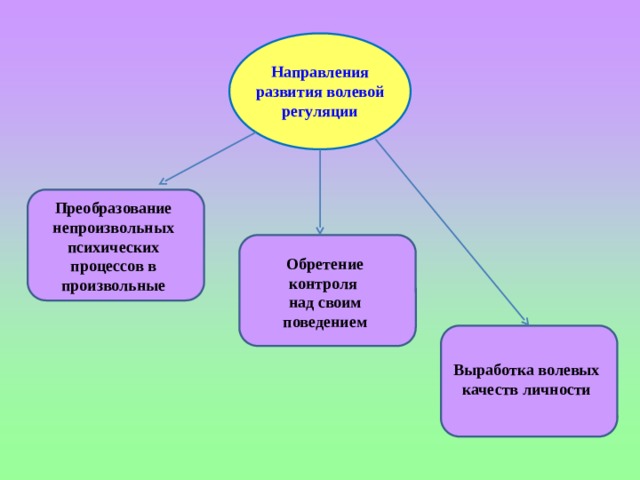 Проект на тему свобода выбора и волевое воспитание