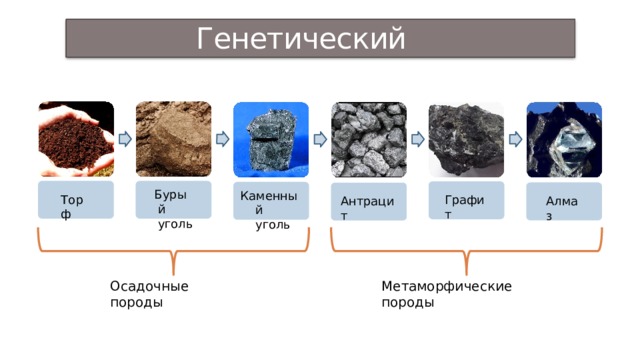Бурый уголь торф каменный уголь. Качество угля в Рурском бассейне. Нефть каменный уголь торф глина мел рисунки. Торф уголь корова. Торф, бурый уголь, каменная соль в Калининграде.
