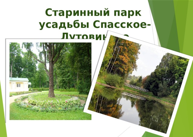 Спасское лутовиново кадастровая карта