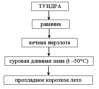Схема цепи питания тундры окружающий мир Урок окружающего мира по теме "Тундра"
