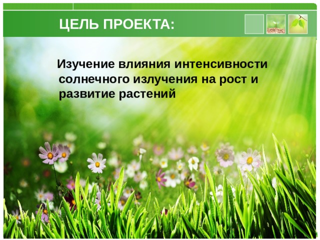 ЦЕЛЬ ПРОЕКТА:  Изучение влияния интенсивности солнечного излучения на рост и развитие растений 