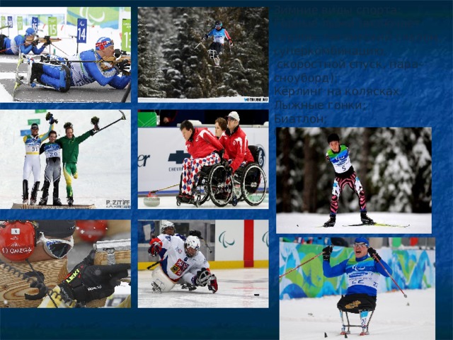Зимние виды спорта: Горные лыжи (включает слалом, гигантский слалом, суперкомбинацию,  скоростной спуск, пара-сноуборд); Кёрлинг на колясках. Лыжные гонки; Биатлон; Следж-хоккей. 