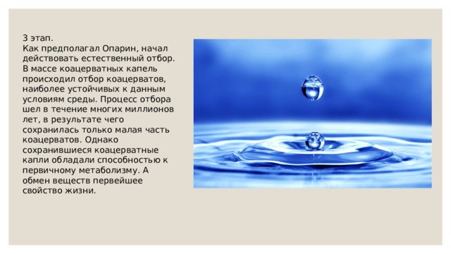 3 этап. Как предполагал Опарин, начал действовать естественный отбор. В массе коацерватных капель происходил отбор коацерватов, наиболее устойчивых к данным условиям среды. Процесс отбора шел в течение многих миллионов лет, в результате чего сохранилась только малая часть коацерватов. Однако сохранившиеся коацерватные капли обладали способностью к первичному метаболизму. А обмен веществ первейшее свойство жизни. 