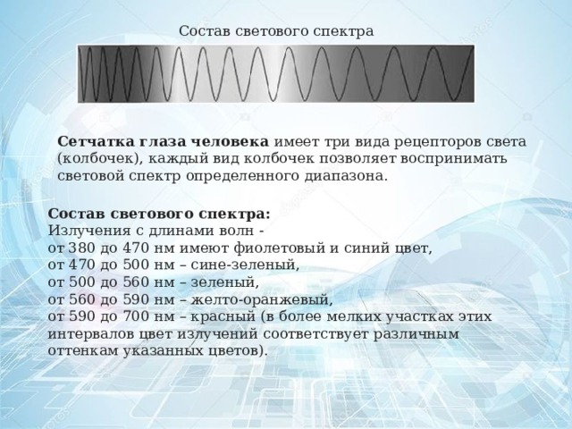 Состав светового спектра Сетчатка глаза человека имеет три вида рецепторов света (колбочек), каждый вид колбочек позволяет воспринимать световой спектр определенного диапазона. Состав светового спектра: Излучения с длинами волн - от 380 до 470 нм имеют фиолетовый и синий цвет, от 470 до 500 нм – сине-зеленый, от 500 до 560 нм – зеленый, от 560 до 590 нм – желто-оранжевый, от 590 до 700 нм – красный (в более мелких участках этих интервалов цвет излучений соответствует различным оттенкам указанных цветов). 