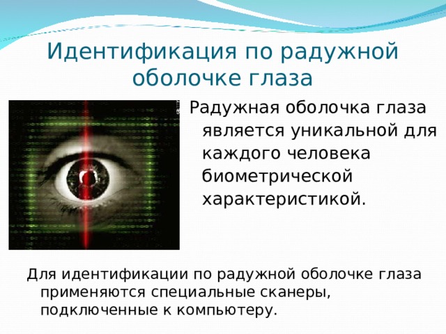 Идентификация по радужной оболочке глаза Радужная оболочка глаза является уникальной для каждого человека биометрической характеристикой. Для идентификации по радужной оболочке глаза применяются специальные сканеры, подключенные к компьютеру. 