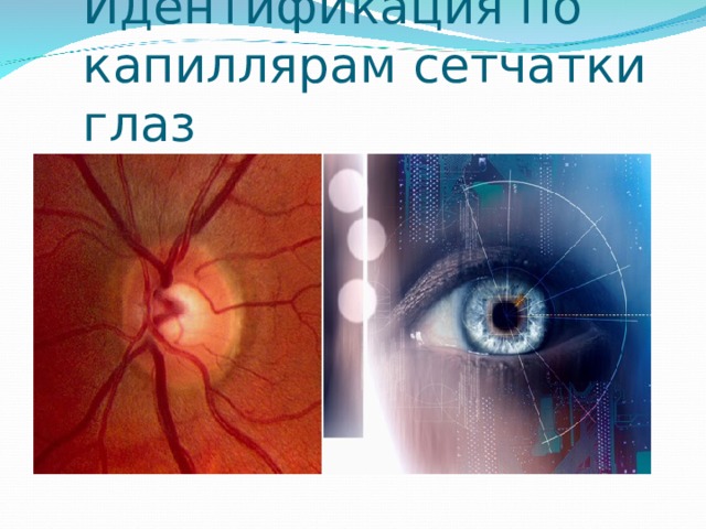 Идентификация по капиллярам сетчатки глаз   
