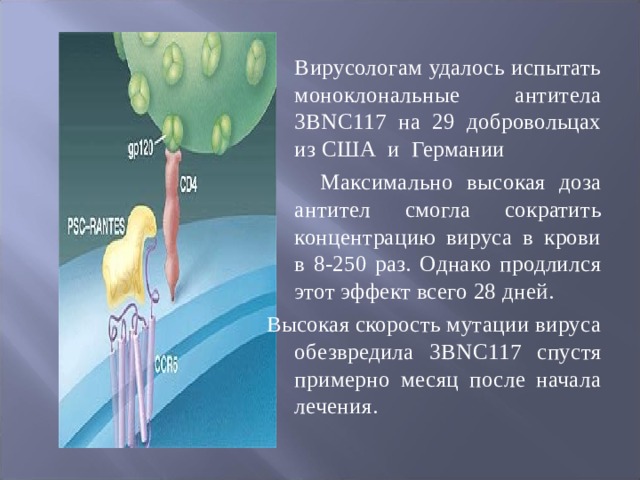  Вирусологам удалось испытать моноклональные антитела 3BNC117 на 29 добровольцах из США и Германии  Максимально высокая доза антител смогла сократить концентрацию вируса в крови в 8-250 раз. Однако продлился этот эффект всего 28 дней. Высокая скорость мутации вируса обезвредила 3BNC117 спустя примерно месяц после начала лечения. 