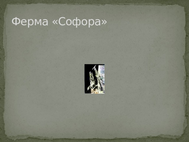 Ферма «Софора» 