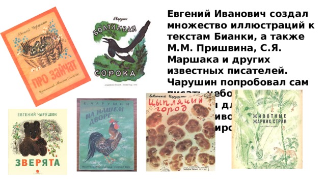 Евгений Иванович создал множество иллюстраций к текстам Бианки, а также М.М. Пришвина, С.Я. Маршака и других известных писателей. Чарушин попробовал сам писать небольшие рассказы для детей о жизни животных и сам иллюстрировал. 