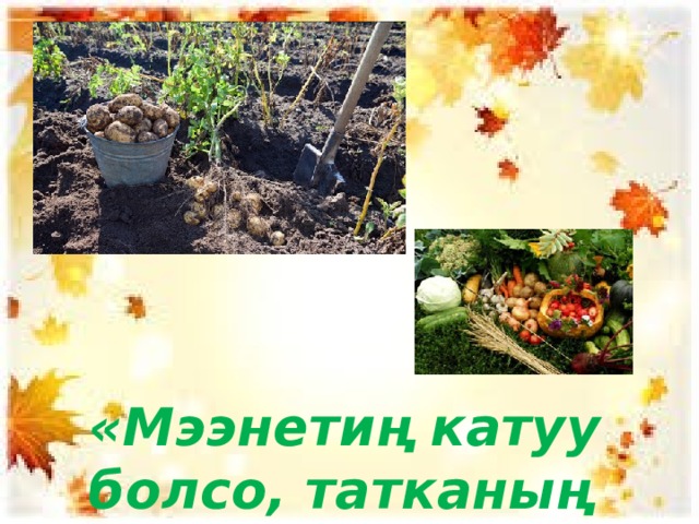 «Мээнетиң катуу болсо, татканың таттуу болот » 