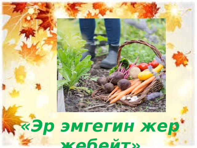 «Эр эмгегин жер жебейт» 
