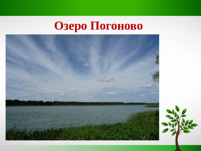 Погоново воронежская область. Озеро Погоново Воронежская. Озеро Погоново Хохольский район. Погонное озеро Воронеж. Самое большое озеро Воронежской области.