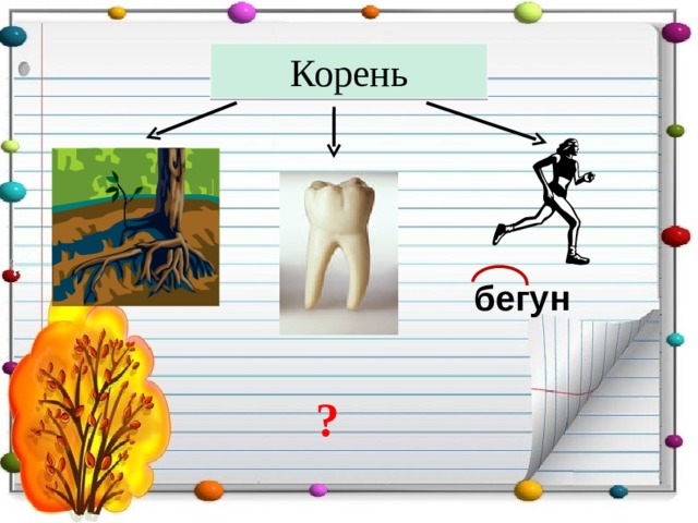 Корень  бегун ? 