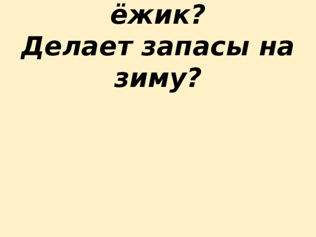 Чем питается ёжик?  Делает запасы на зиму? 