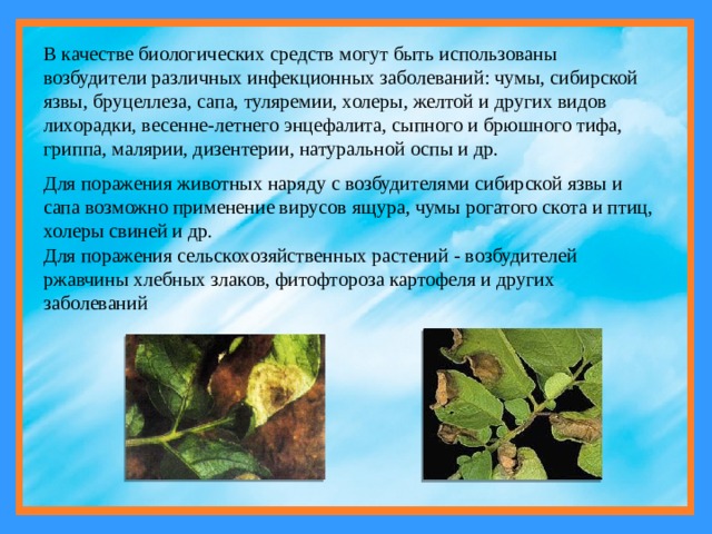 В качестве биологических средств могут быть использованы возбудители различных инфекционных заболеваний: чумы, сибирской язвы, бруцеллеза, сапа, туляремии, холеры, желтой и других видов лихорадки, весенне-летнего энцефалита, сыпного и брюшного тифа, гриппа, малярии, дизентерии, натуральной оспы и др. Для поражения животных наряду с возбудителями сибирской язвы и сапа возможно применение вирусов ящура, чумы рогатого скота и птиц, холеры свиней и др. Для поражения сельскохозяйственных растений - возбудителей ржавчины хлебных злаков, фитофтороза картофеля и других заболеваний 