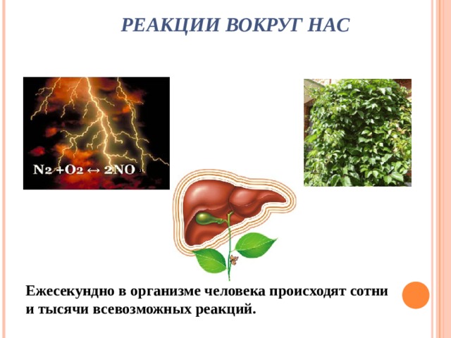 РЕАКЦИИ ВОКРУГ НАС Ежесекундно в организме человека происходят сотни и тысячи всевозможных реакций. 