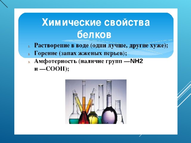 Применение белков химия