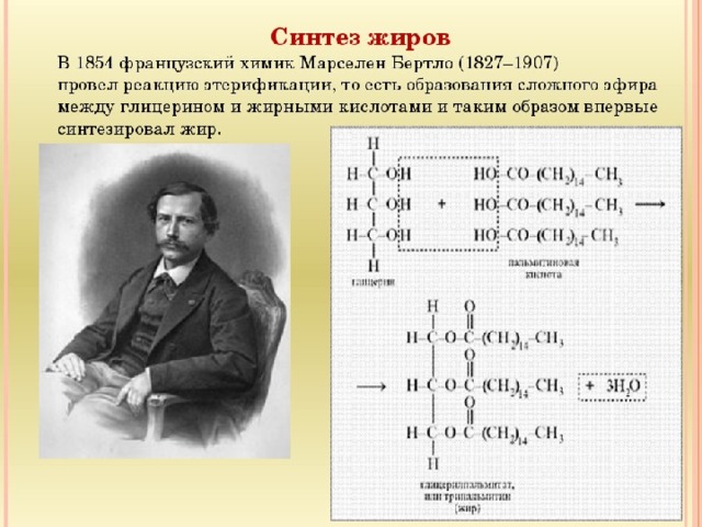 Синтез жиров. Синтез жира Бертло 1854. Бертло Химик жиры. Французский учёный Бертло синтезировал жиры. Бертло Химик синтезировал жир.