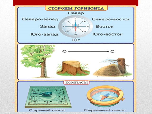 По каким природным признакам можно определить стороны горизонта рисунки для 2 класса окружающий мир