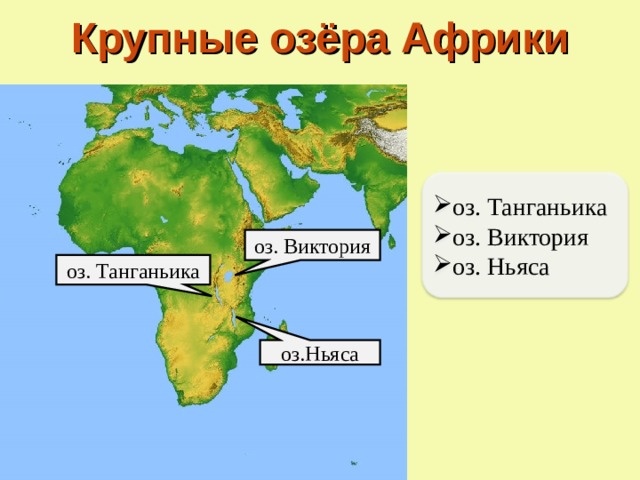 География 7 класс тема африка образ материка