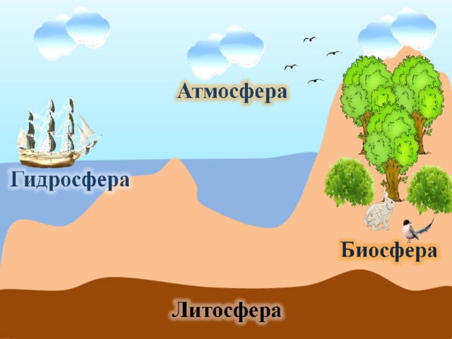 Рисунок биосфера земли