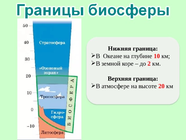 Граница биосферы находится на высоте. Верхняя граница биосферы. Границы биосферы в океане. Нижняя граница в океане. Глубина нижней границы биосферы.