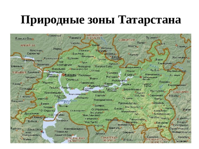 Карта природных зон Республики Татарстан. Природно географические зоны РТ. Природные зоны Татарстана.