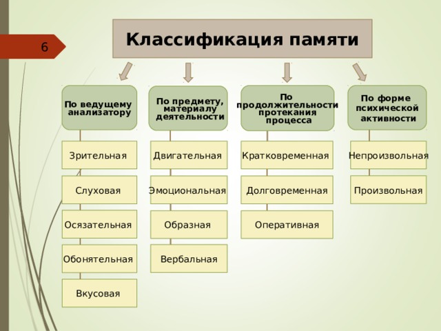 Классификация памяти. Классификация памяти человека. Виды памяти по продолжительности протекания. Классификация памяти по длительности.