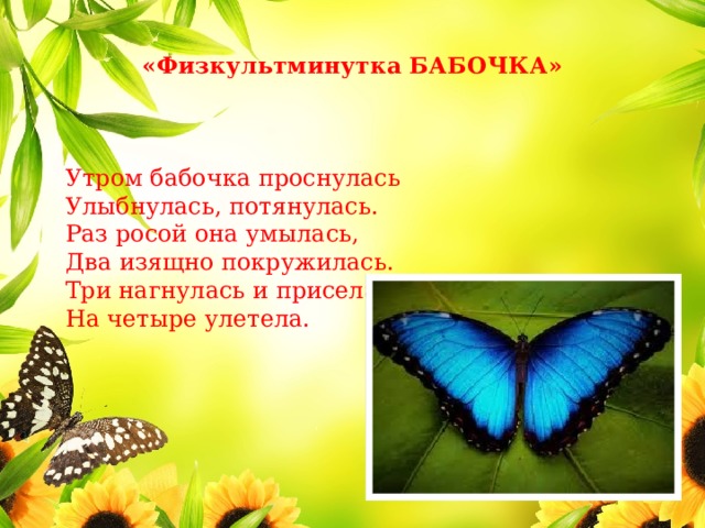  «Физкультминутка БАБОЧКА»   Утром бабочка проснулась Улыбнулась, потянулась. Раз росой она умылась, Два изящно покружилась. Три нагнулась и присела. На четыре улетела. 