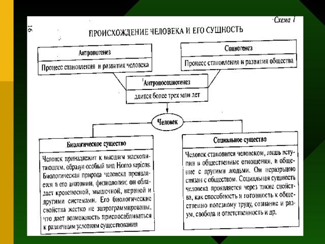 План социальная сущность человека