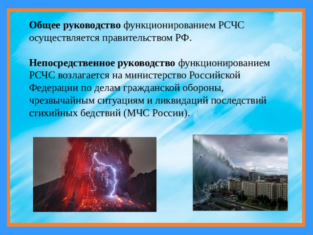 Какое министерство осуществляет общее руководство государственной системы экологического мониторинга