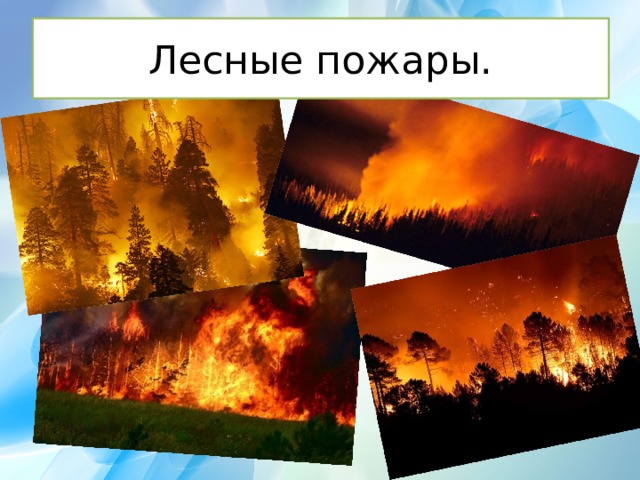 Лесные пожары. 
