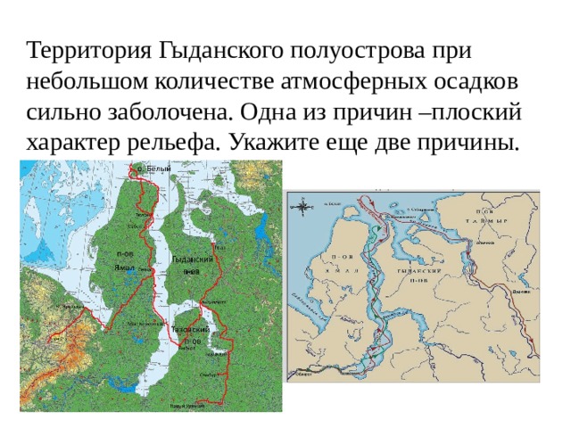 Территория Гыданского полуострова при небольшом количестве атмосферных осадков сильно заболочена. Одна из причин –плоский характер рельефа. Укажите еще две причины. 