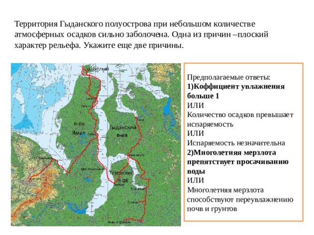 Территория Гыданского полуострова при небольшом количестве атмосферных осадков сильно заболочена. Одна из причин –плоский характер рельефа. Укажите еще две причины. Предполагаемые ответы: 1)Коффициент увлажнения больше 1 ИЛИ Количество осадков превышает испаряемость ИЛИ Испаряемость незначительна 2)Многолетняя мерзлота препятствует просачиванию воды ИЛИ Многолетняя мерзлота способствуют переувлажнению почв и грунтов