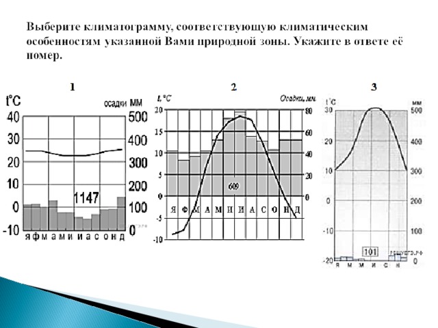 Выберите климатограмму. Климатограмма и название климатического пояса. Климатограмма климатических поясов ВПР. Климатограммы ВПР 7 класс география. Климатограммы климатических поясов мира 7 класс.