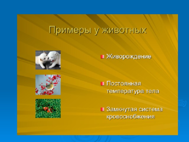 На план масштаб которого равен 1 1000 нанесен искусственный водоем возле дома сергея