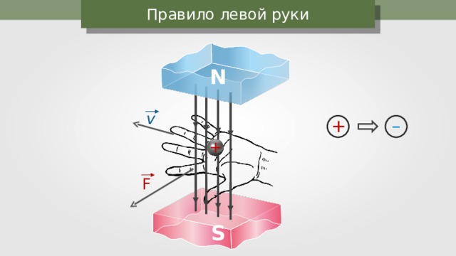 Правило левой руки N v  + – + F  S 
