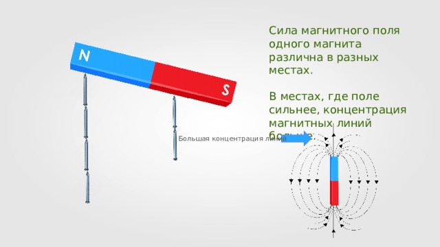 Сила магнитного поля одного магнита различна в разных местах. В местах, где поле сильнее, концентрация магнитных линий больше. Большая концентрация линий N S 2 